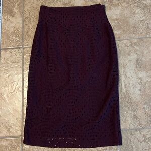 Eva Mendes NY&Co Skirt